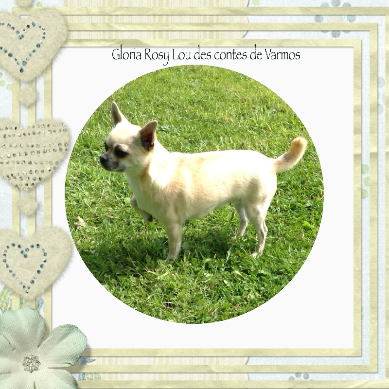Gloria rosy lou des contes de Varmos