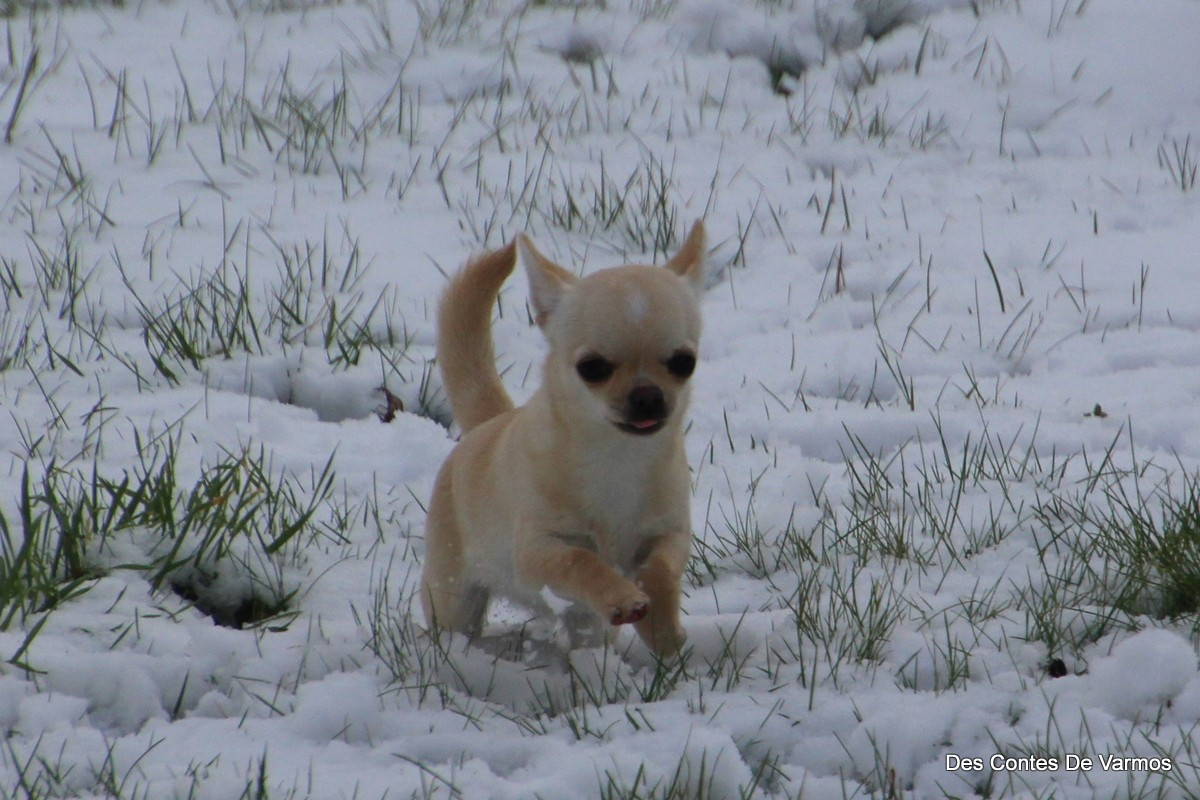 ARIA des contes de Varmos