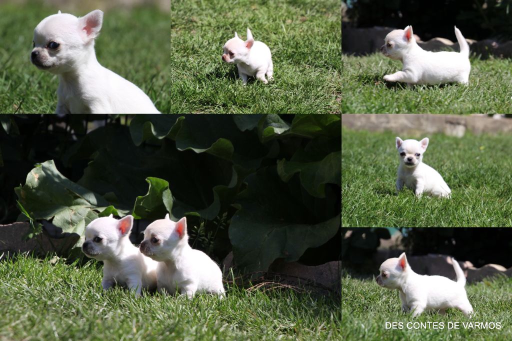 Les bébés au jardin