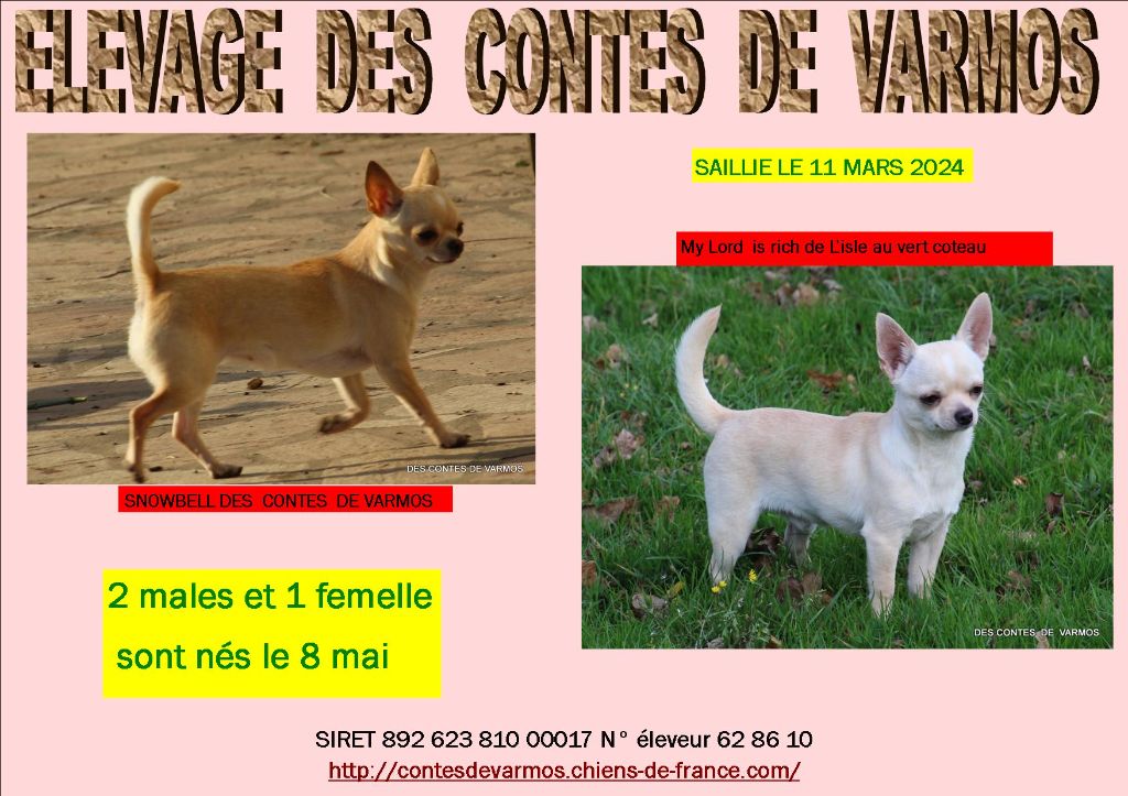 SNOBELL DES CONTES DE VARMOS  X   MY LORD IS  RICH DE L'ISLE AU VERT C